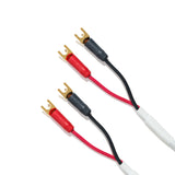 Speaker cable