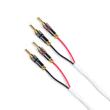 Speaker cable